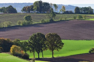 Limburg